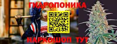2c-b Лесосибирск