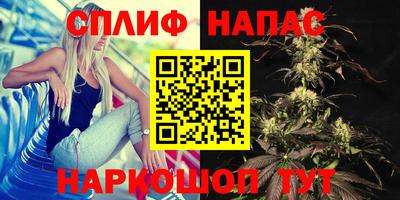 шишки Ливны