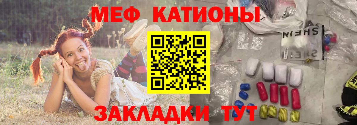 МЕФ  Зеленогорск